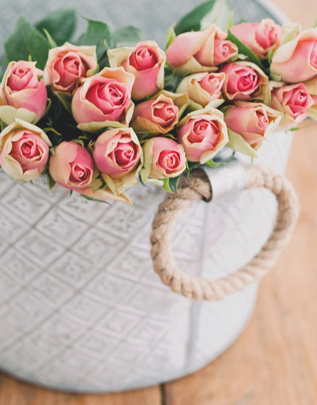 Rosas Vermelhas / 9 Rosas