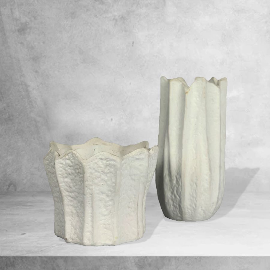 Duo De OrquÍdeas - Floristas, entrega de flores lisboa