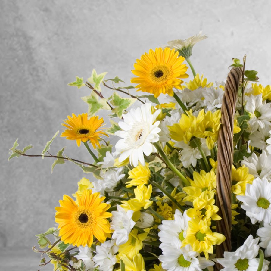 Cesto Margaridas E Gerberas Cesto Margaridas E Gerberas - Floristas, entrega de flores lisboa